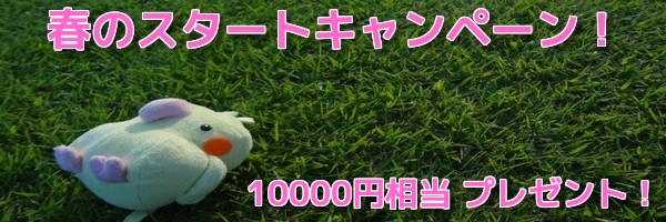 MuSqsvIL4z9A4d_1428756484_1428756602